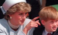 Prince Harry was able to 'postpone' the 'bulk of grief' after Princess Diana death
