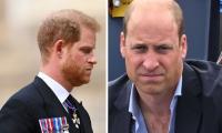 Prince Harry’s ‘rottweiler behaviour’ bashed: ‘UK will go for the underbelly’