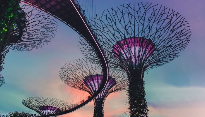 Sunset at Gardens by the Bay – Singapore.— Unsplash