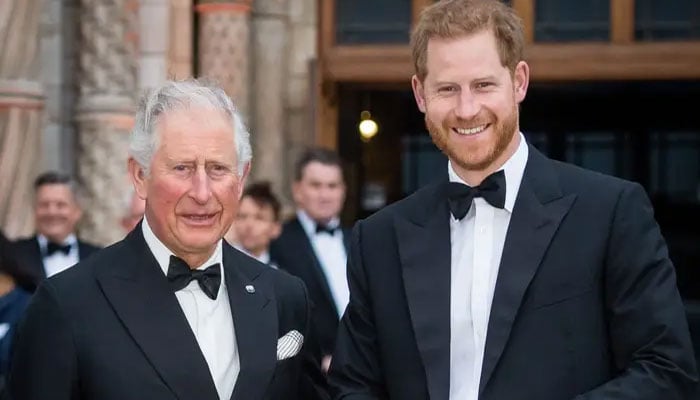 Why King Charles did not meet Prince Harry during Duke’s visit to UK?