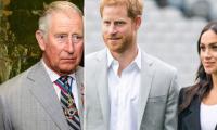 Prince Harry, Meghan Markle an ‘unwanted sideshow’ for King Charles