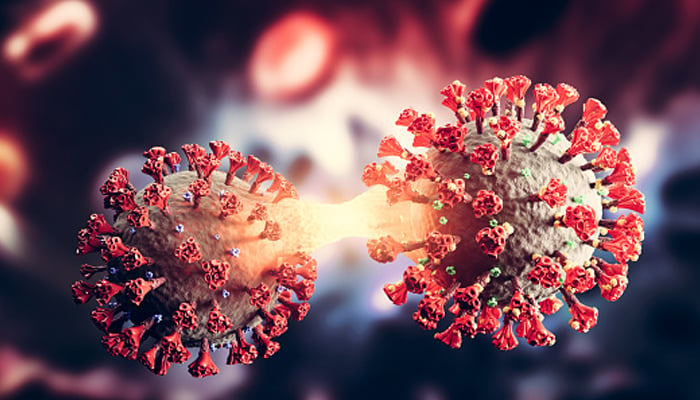 Un'immagine rappresentativa di una cellula di coronavirus.  — Unsplash/File