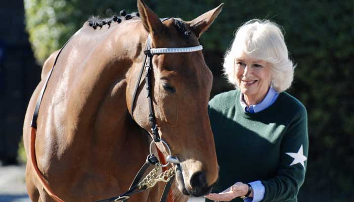 Camilla gets emotional as she reveals her hobby: Im too old