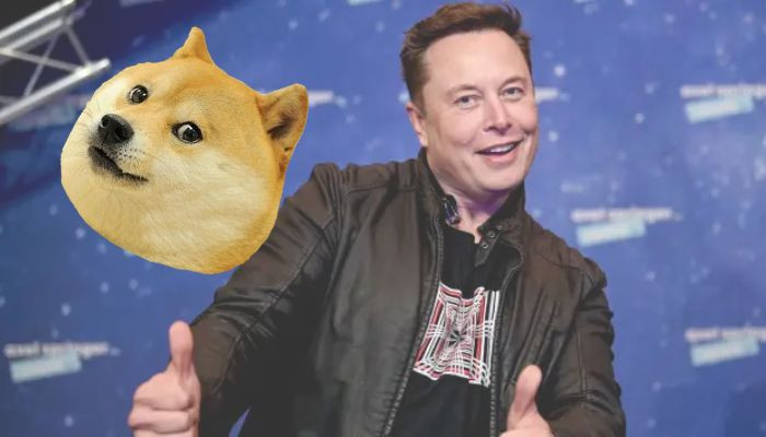 Mengapa Elon Musk mengubah logo Twitter dari burung menjadi Dogecoin?