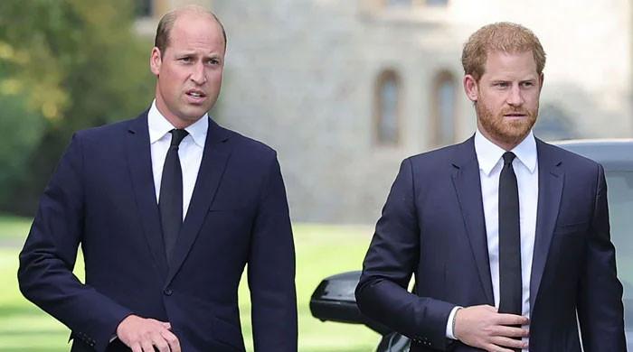 Harry slammed for writing about fight with William in memoir: ‘They’re ...