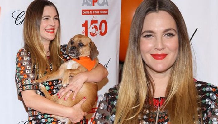 Drew Barrymore expresses love for her pets: they sleep on bed with me