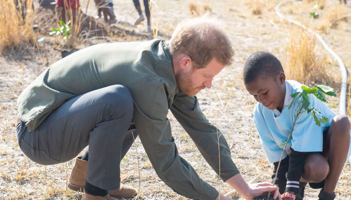 Prince Harry admits he has always felt closer to truth in Africa