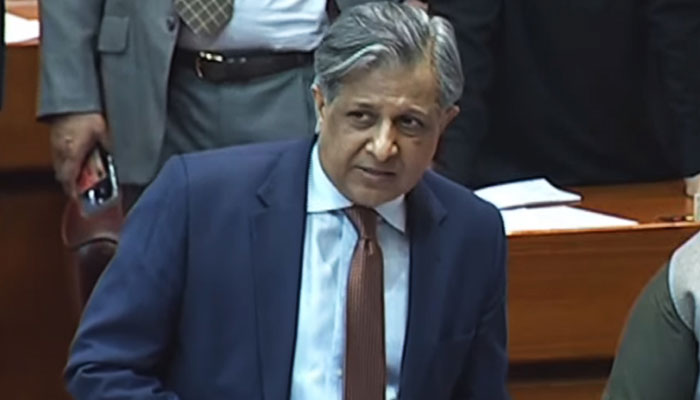 Law Minister Azam Nazeer Tarar addresses the joint session of parliament on April 10, 2023, in this still. YouTube/ PTV News.
