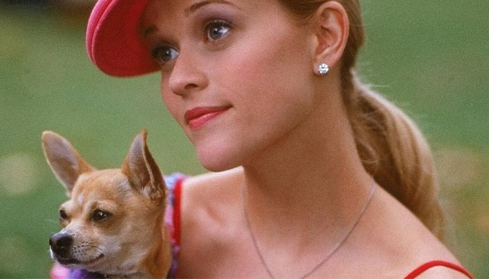 Since acquiring the MGM Properties, they are looking into expanding several of the MGM projects