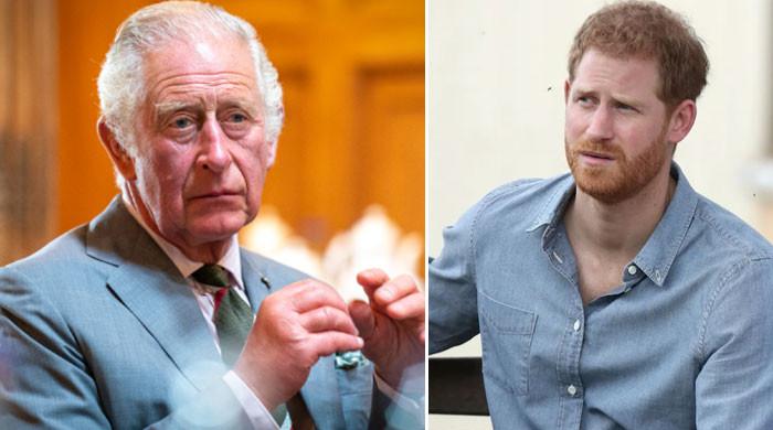 King Charles can no longer indulge ‘toy-throwing son’ Prince Harry