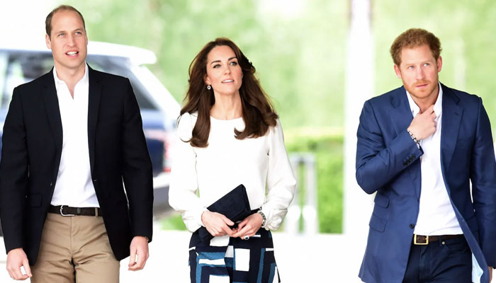 Kate Middleton wants to mend relationship between Prince William, Prince Harry
