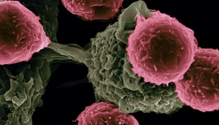 I ricercatori del Texas Center for Cancer Nanomedicine (TCCN) stanno creando vaccini a base di particelle per la terapia del cancro.— Unsplash