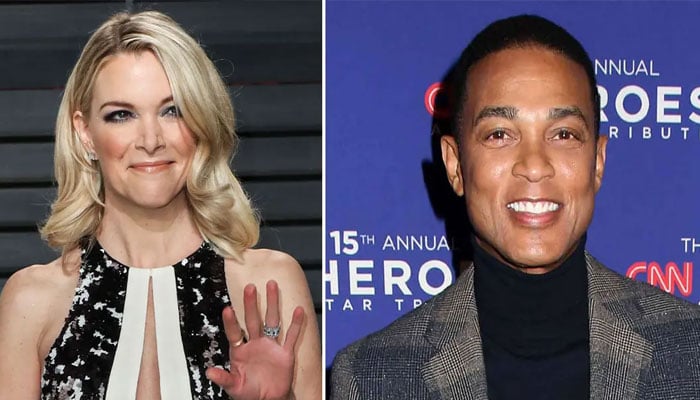 Megyn Kelly thinks no’s one going to hire Don Lemon: Here’s why