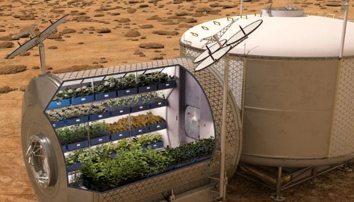 Scientists are exploring new options for farming on Mars