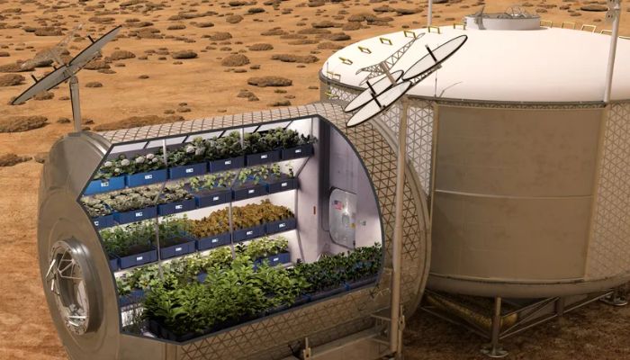 An artist’s conception of a portable Martian greenhouse is currently being developed at NASA. The space agency’s vegetable-growing experiments inspired an astrobiologist and his undergraduate students to grow their own “Martian” vegetables.— Nasa