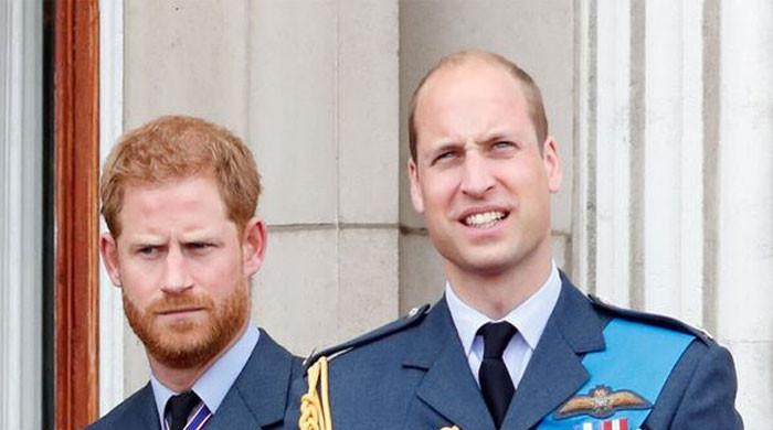 Prince Harry always wanted to follow 'different line' than Prince William