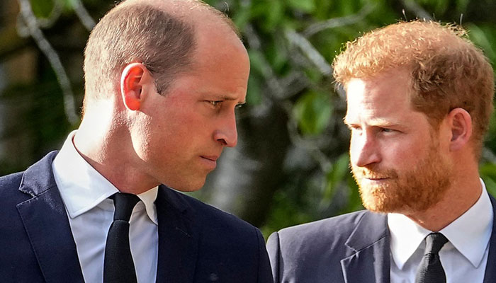 Prince Harry says he was left to run around battlefield like chicken unlike William