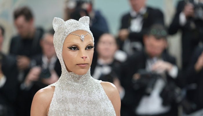 Doja Cats Met Gala look inspired by Karl Lagerfelds feline muse Choupette