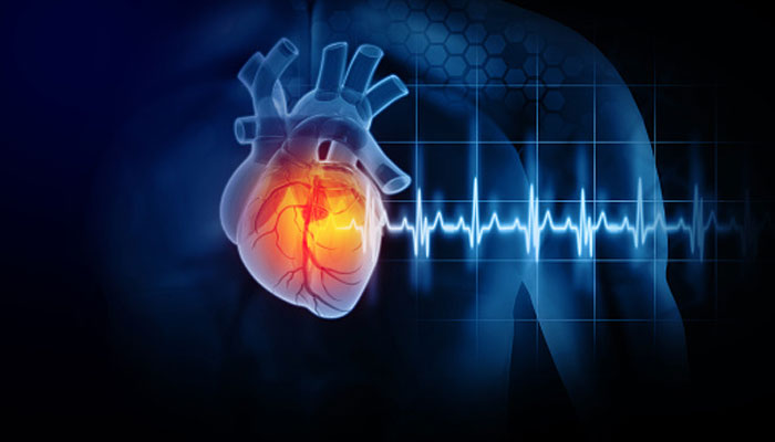 Un'immagine rappresentativa dell'infiammazione cardiaca.  — Unsplash/File