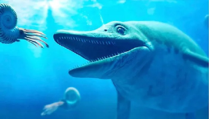Para ilmuwan menemukan fosil monster laut raksasa yang tersembunyi di museum