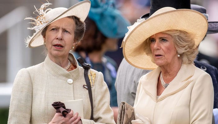 Princess Anne upset with Queen Camilla for dropping Consort from title