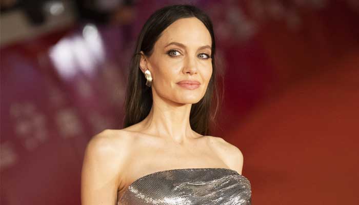 Angelina Jolie launches new project