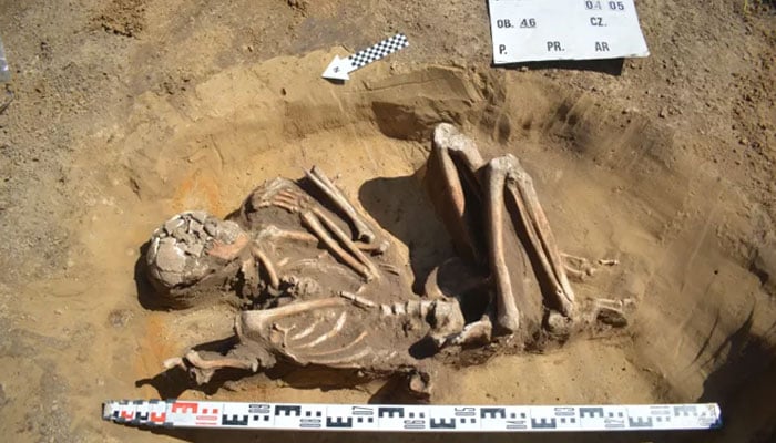 The picture shows a 7,000-year-old skeleton found in Poland. — Live Science