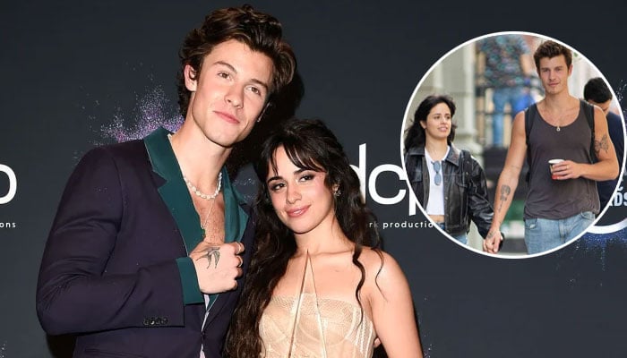 Shawn Mendes, Camila Cabello fuel reconciliation rumours with romantic outing