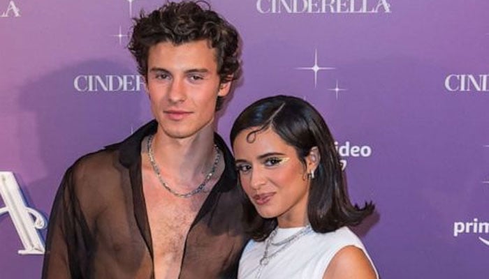 Shawn Mendes, Camilla Cabello get cozy at Taylor Swifts Eras Tour