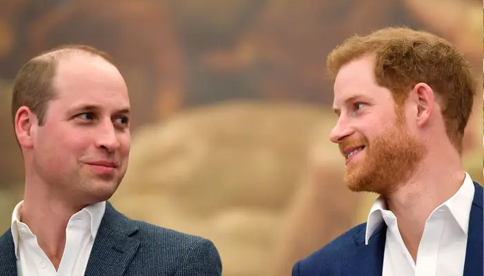 Prince Harry freedom cry shows there is no reconciliation with William