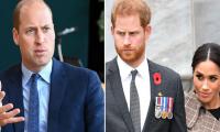 Meghan Markle never took Prince Harry, William 'differences' lightly