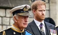 Prince Harry on a mission against royal system?