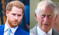 Prince Harry planning ‘total annihilation’ of Royal Family
