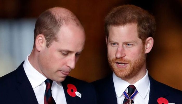 Prince Harry was told to take mental health support by Prince William
