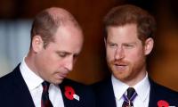Prince Harry Was Told To Take Mental Health Support By Prince William