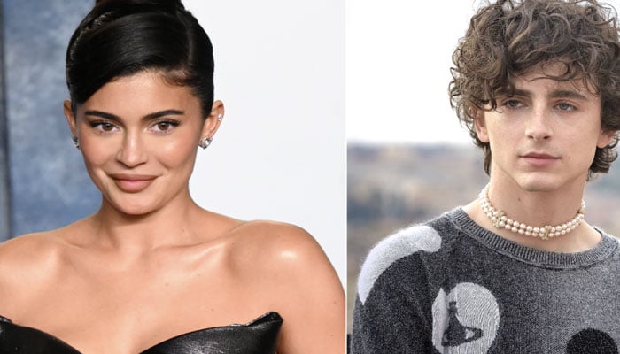 Kylie Jenner and Timothee Chalamet are finally getting introducing to families