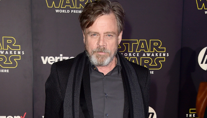 Mark Hamill rose to fame with his iconic portrayal of Luke Skywalker in Star Wars series