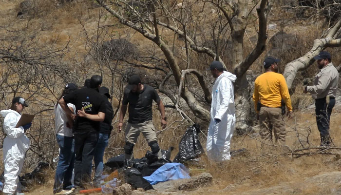Forensic experts work with several bags of human remains extracted from the bottom of a ravine by a helicopter. — AFP/File