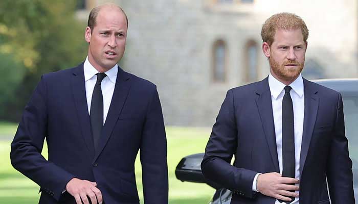 Latest development shows William and Harry have lost their charm as royal feud continues