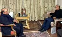 Zardari meets PML-Q chief to discuss political scenario, economy