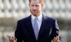 Prince Harry’s ‘escape room’ is ‘ludicrous’: ‘Why would he want that?