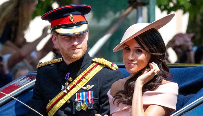 Meghan Markle, Prince Harry are ‘two crazy kids who junked royal life’