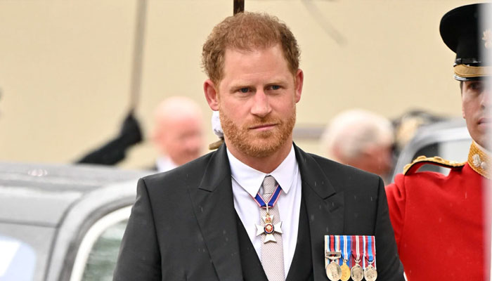 Prince Harry lives ‘the kind of life most of us don’t even bother aspiring to’