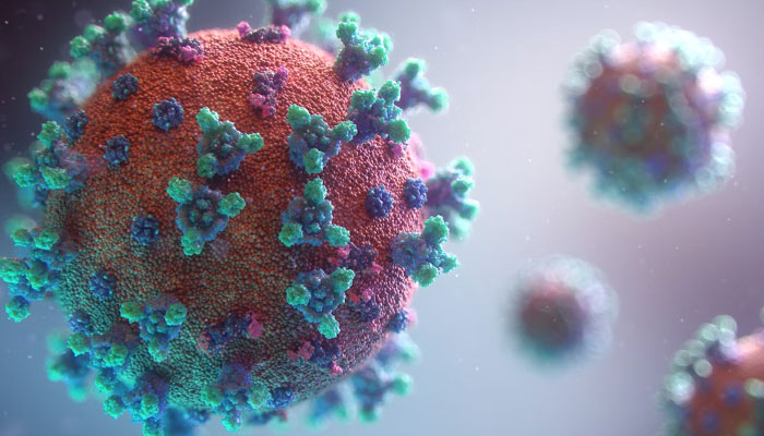 This representational picture shows an illustration of a virus. — Unsplash/File