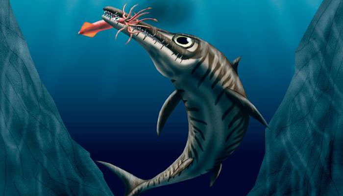 This picture shows an illustration of an ichthyosaur. — Twitter/@newscientist
