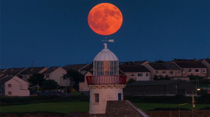 Strawberry moon illuminating sky around world gives breathtaking sights