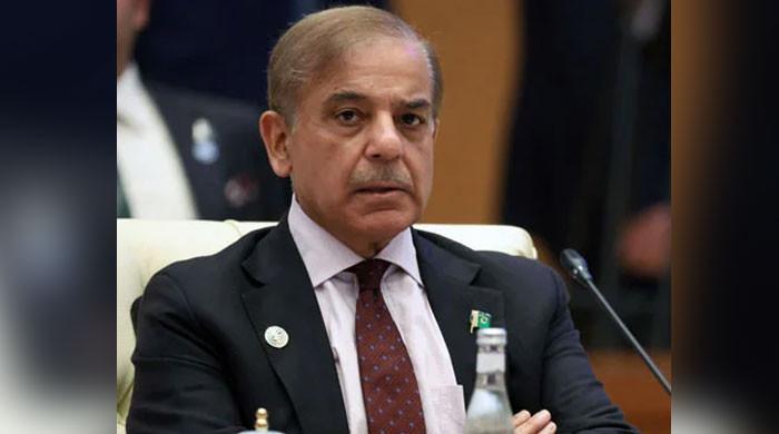 Pakistan to seal IMF deal this month: PM Shehbaz