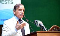 PM Shehbaz Rejects PTI Propaganda On Rights Abuses In Pakistan