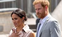 Prince Harry, Meghan Markle Are ‘low-grade Reality Stars That Are Trying To Attach To Anything’