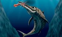 240-million-year-old marine reptile discovered